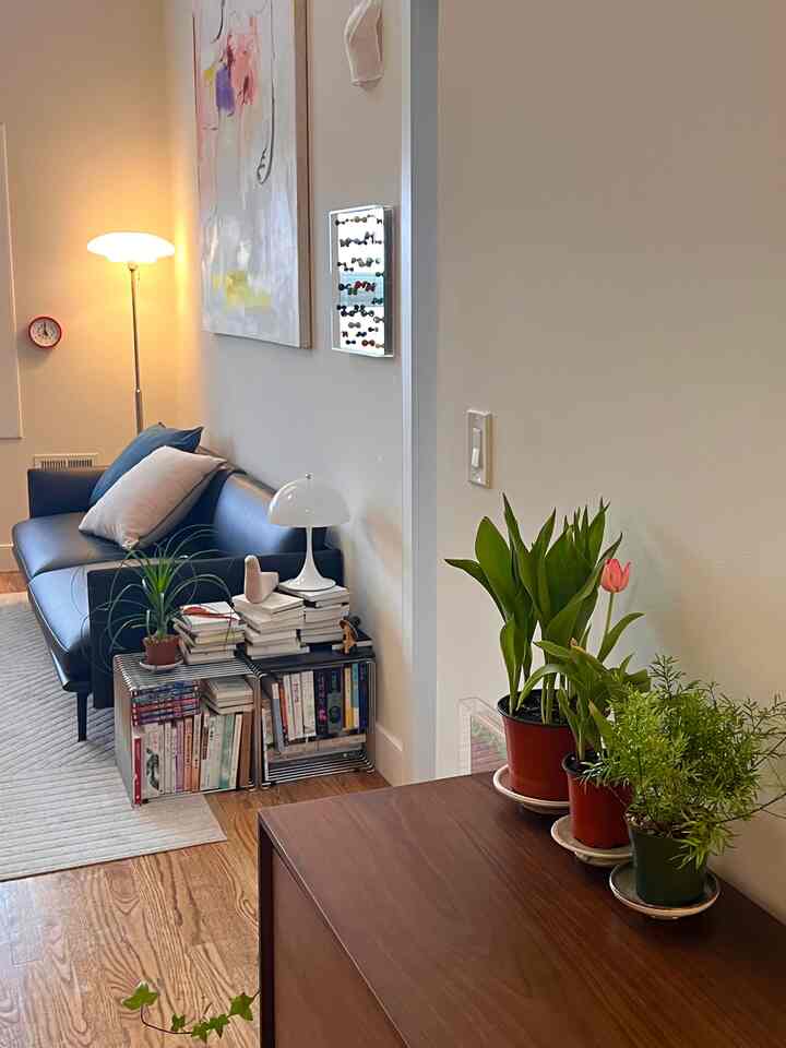 Got some bulb gardens for 10 bucks! Love the lively energy they bring to my place. 

#colorsofspring #colorinterior #flowers #spring #plantinterior 