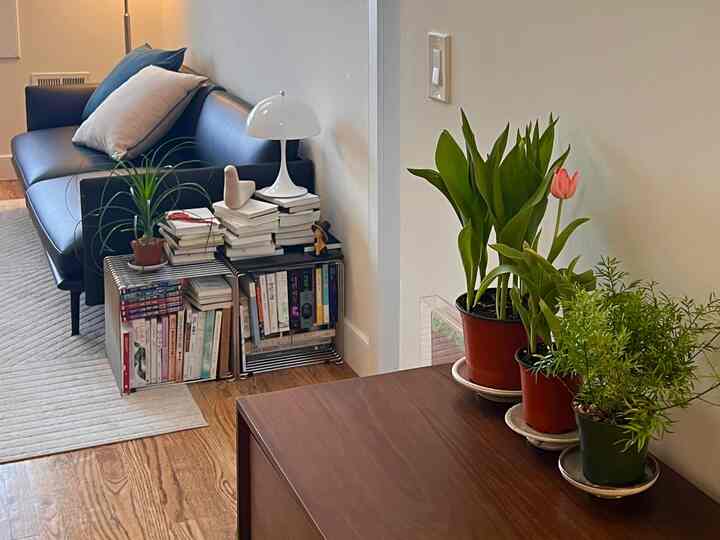 Natural toned living room with blue sofa, white table lamp, stacked books on drawer cabinet, and potted plants arranged neatly