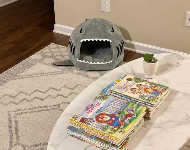 Natural color floor and wall with a shark-shaped pet bed center-top and a coffee table in the foreground creating cozy atmosphere