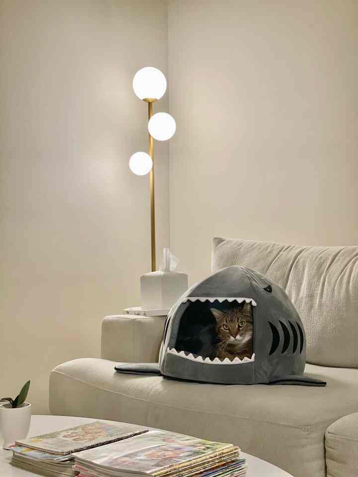 White-toned living room with minimal sofa featuring a shark-shaped pet house and a cat inside, creating a cozy atmosphere