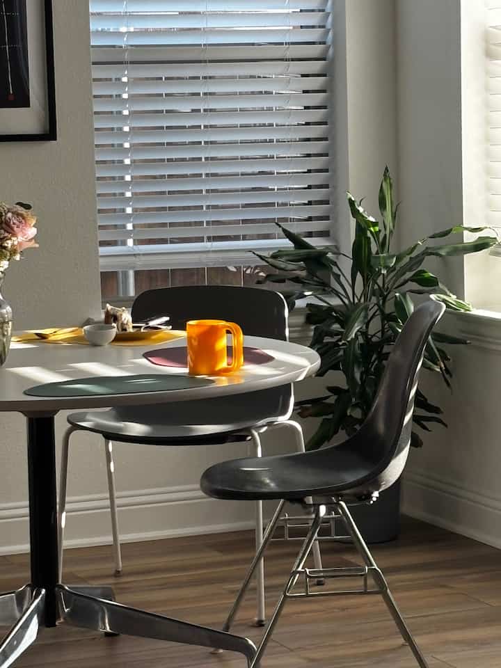 White and wood tone dining room featuring simple table and chairs, large plant by window creating natural ambiance