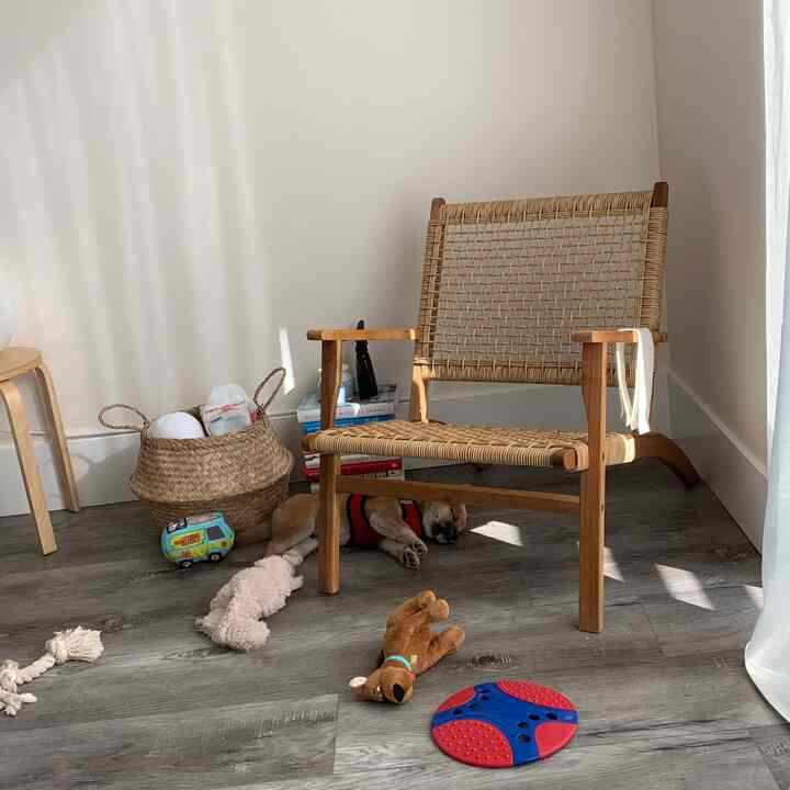 Natural-toned living room featuring a woven wooden chair on right, a basket with blankets, and a sleeping puppy with toys scattered on the floor