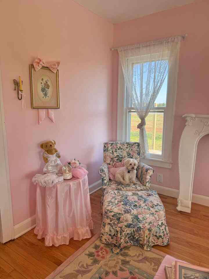 Pink-toned living room featuring vintage floral armchair and charming decorations creating a cozy atmosphere