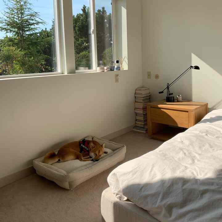 A serene natural-toned bedroom featuring a beige pet bed with a dog resting, wooden nightstand, and white bedding creating a cozy atmosphere