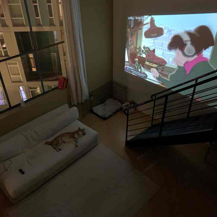 projectors > tv #loft #sf #cozy 