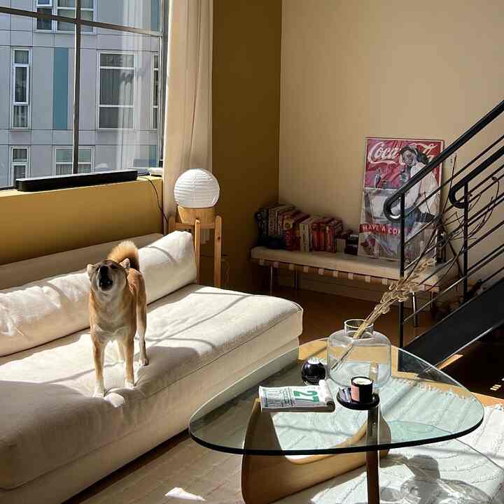 Kaiju go awooo #japandi #loft #cozy