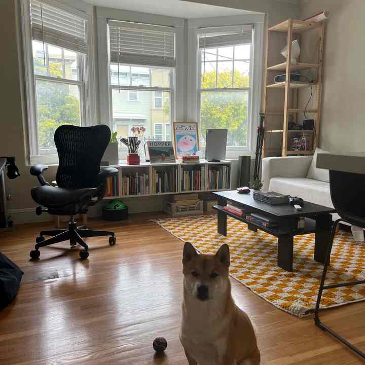 A living room with white and natural tones featuring a white sofa, office chair, and yellow patterned rug with a dog sitting in the foreground