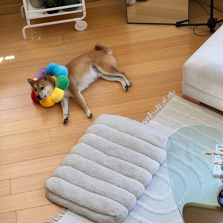 short form carousel card thumbnail
