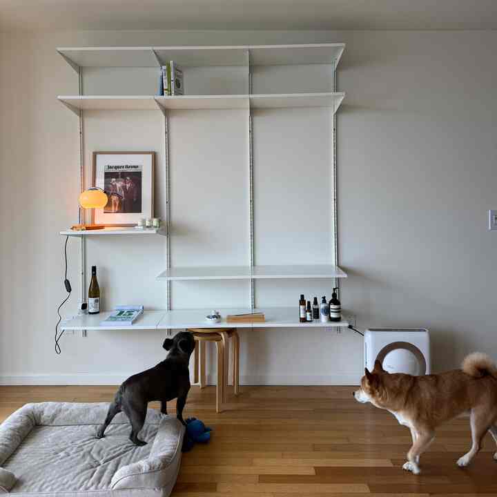 White walls and wood tone floor with dogs and stools in a minimal home office space