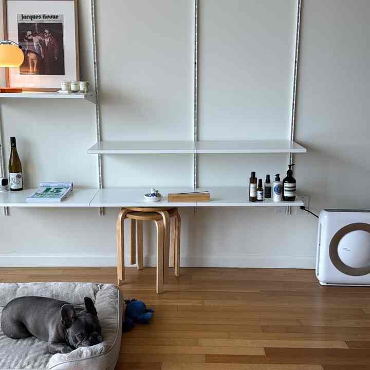 A simple and cozy living space with white walls and natural wood flooring featuring a pet bed with a dog lying on it and wooden stools