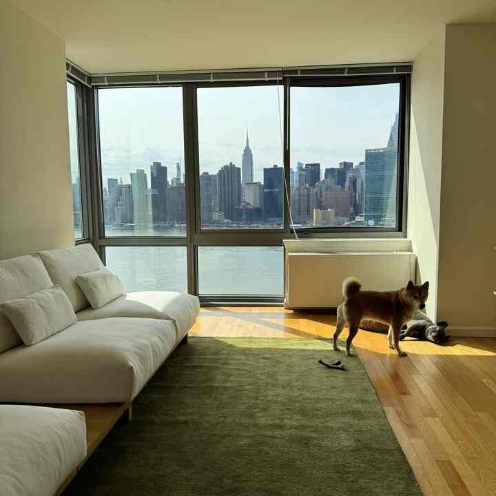 Natural-toned living room with large windows and modular sofa, a clean space featuring dogs