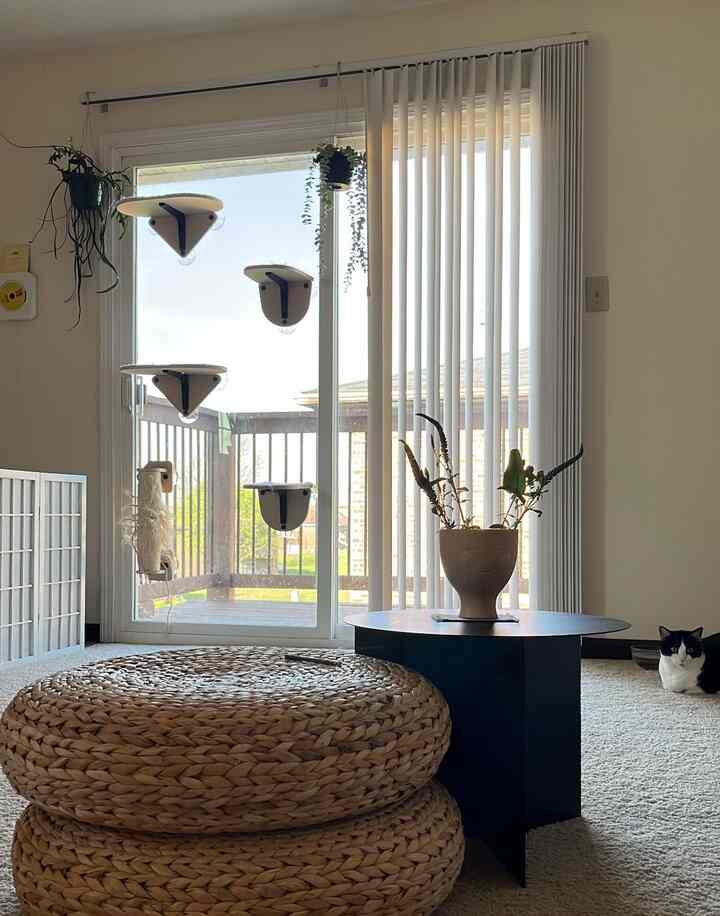 Had a lovely morning shooting in my living room. Of course, I had my furry little assistants by my side! They are very supportive of what their mom is doing. ☺️🐈‍⬛🐈🤍

#livingroom #ikea #hay #artek #spring
