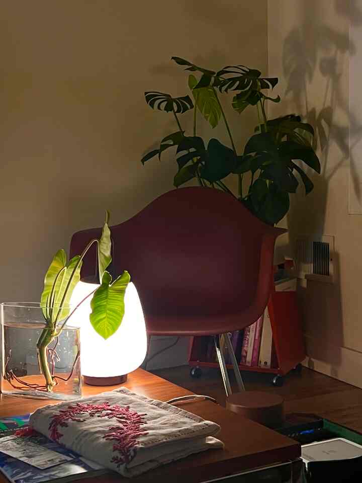 Home looks different under different lighting which is why it is a good idea to explore with different types of lamp and different eye levels! Even a small candle can create a drastically different ambiance!

#nightview #cozy #lamp #portablelamp #loungechair #candle #incense #incenseholder #warm #warmfeeling #warmth