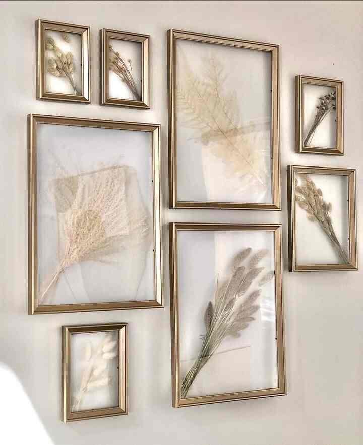 Natural toned living room wall art featuring dried botanicals in gold picture frames arranged on a light wall