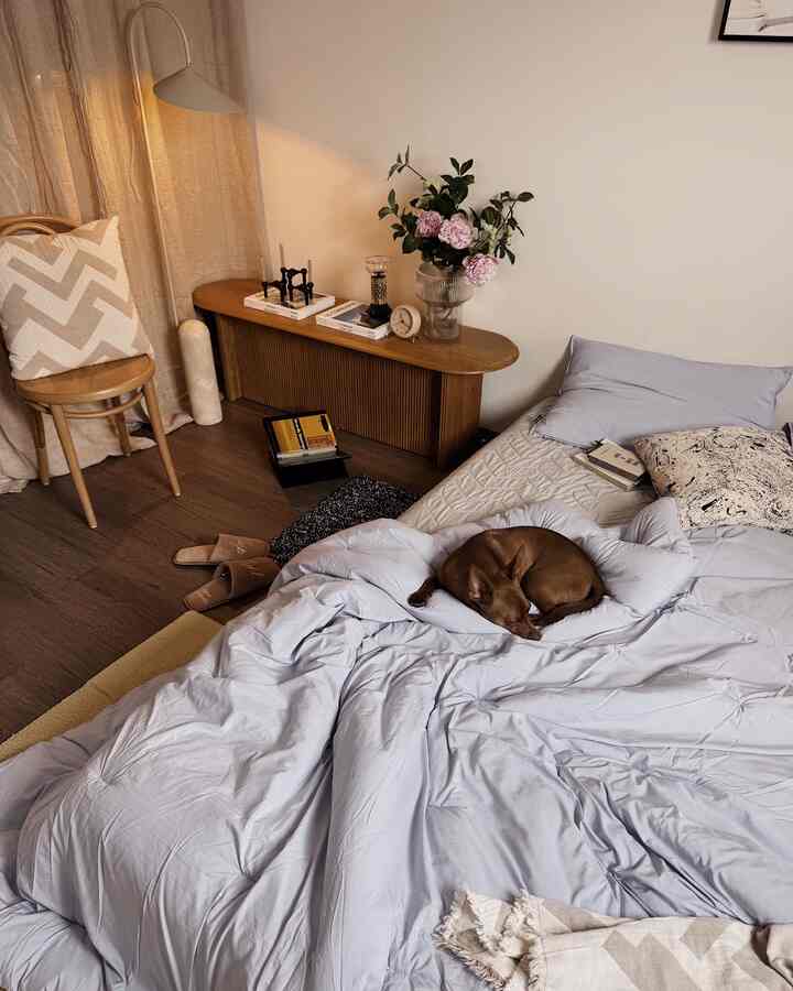 🩵🩵

#bedroom #bedroominterior #bedroomdecor #beddinginterior #beddingset #dog #bench #flower #flowerinterior #diffuser #lamp #lighting #lightinginterior #rug #roomshoes #chair #cushion #candle #candleholder #spring #springdecor 