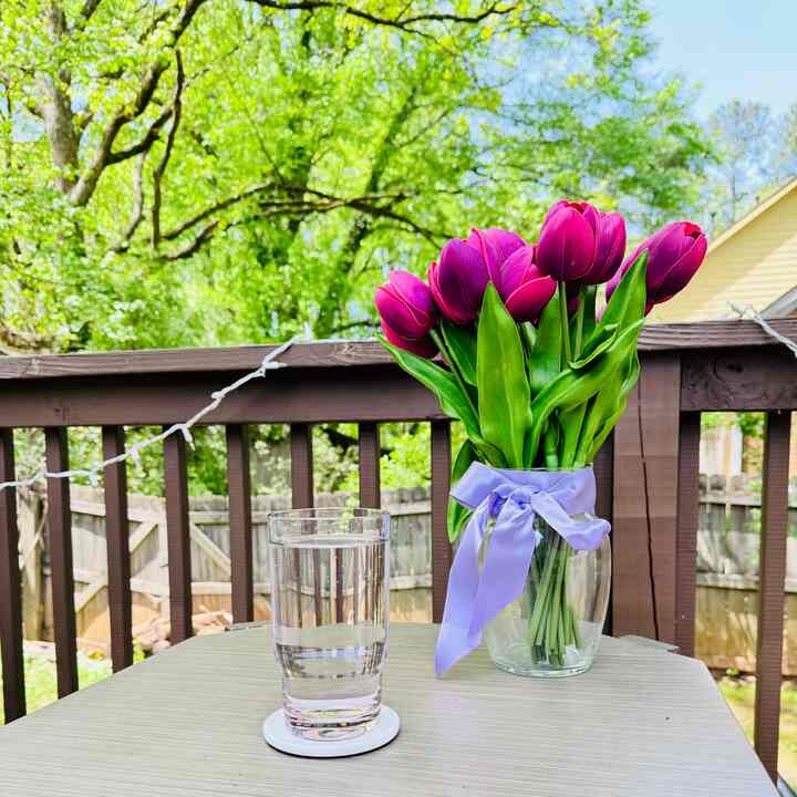 Chillin’ in full bloom. New favorite glass + fresh tulips = perfect spring vibes 🌷💓🌸

You don’t need to spend a lot for a spring refresh! 

#kitchenaccessories #kitchenitems #glasscup #glass #glassvase #pink #pinkinterior #spring #springinterior #cup #flower #vase #deck #patio 