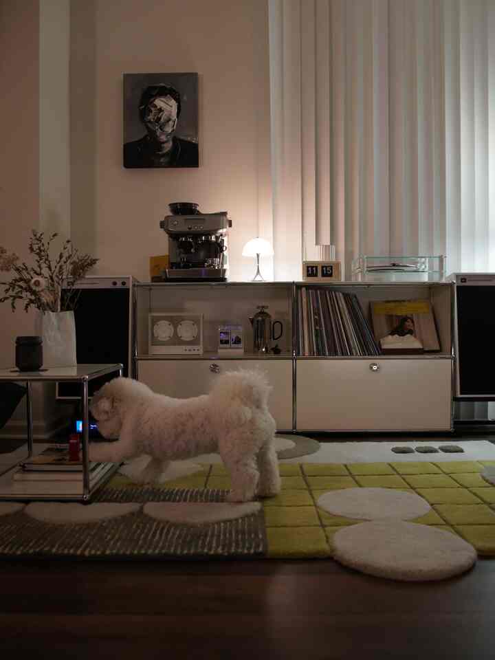White and natural toned living room featuring a white dog, sideboard, and coffee machine with a warm, cozy atmosphere