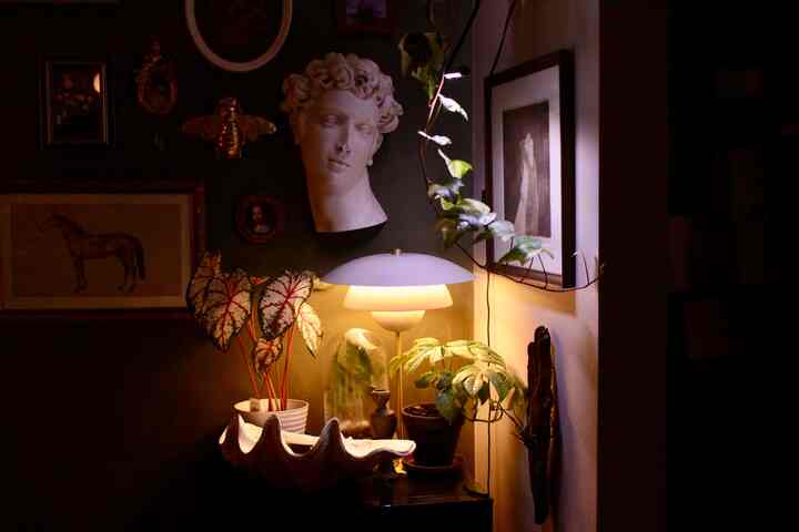 Home @ night 

#interior #Planterrier #planterior #houseplants #plants #interiordesign #livingroominterior #livingroom #diningroom #inspo