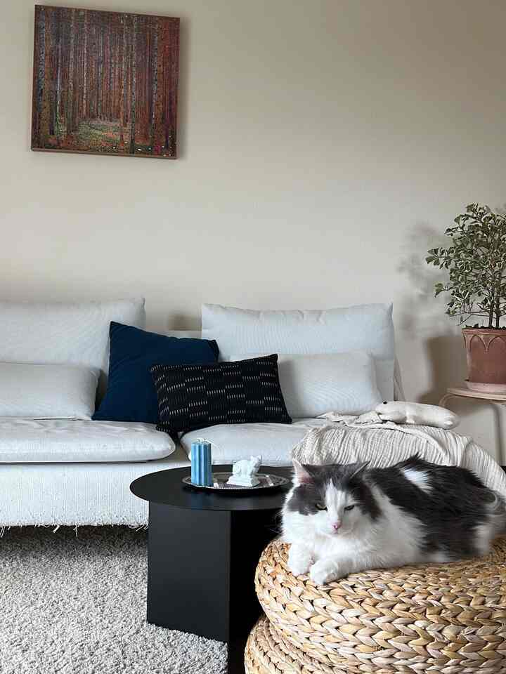 White and natural toned living room featuring 3-seater sofa, stools, and a cat creating a cozy atmosphere