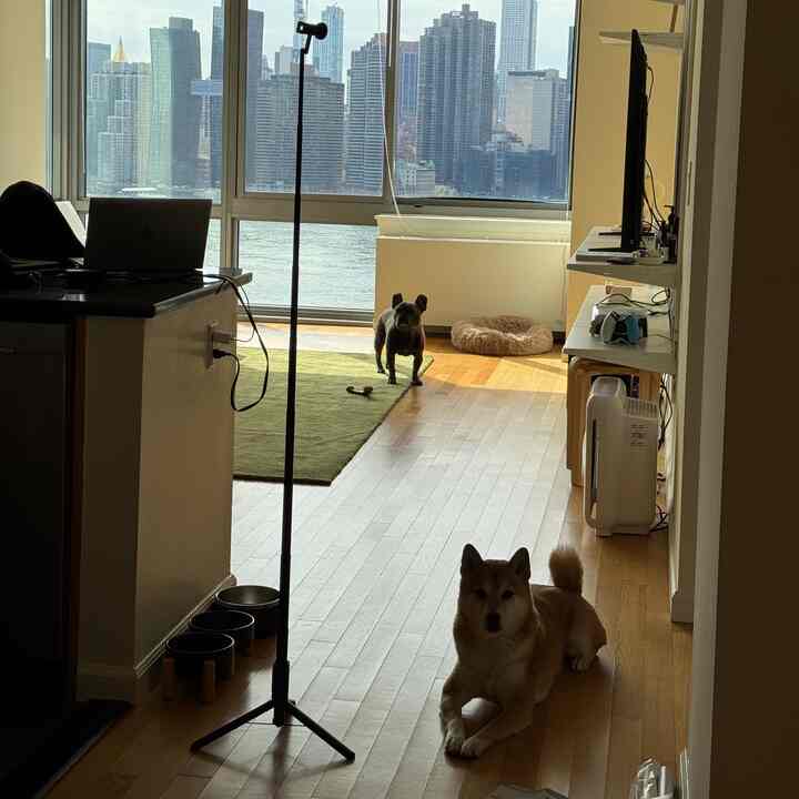Warm wood-tone living area featuring two dogs, a home office desk, and expansive cityscape visible through large windows