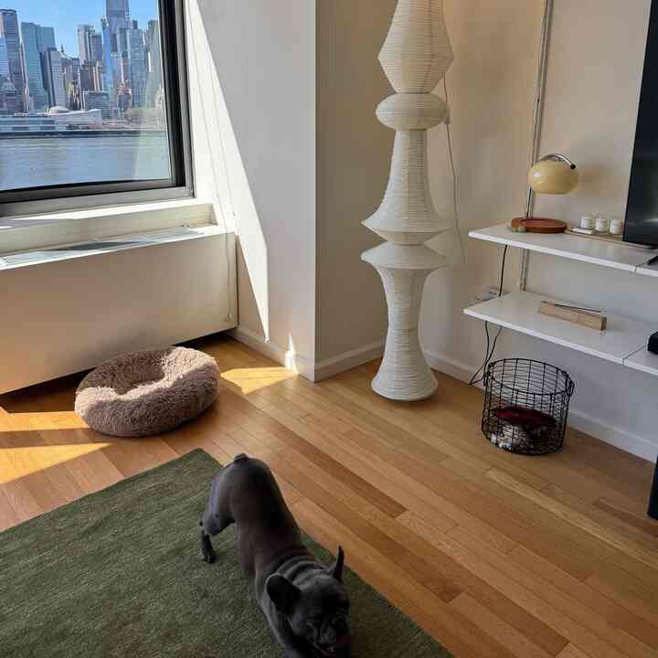 Natural-toned living room with large window, dog bed near window, and soft lighting creating a cozy atmosphere