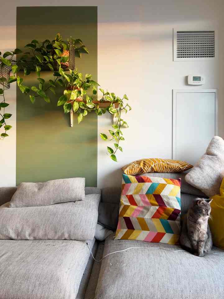 I painted this part of the wall green 2 years ago around this time. A spring color 🌱

#modern #condo