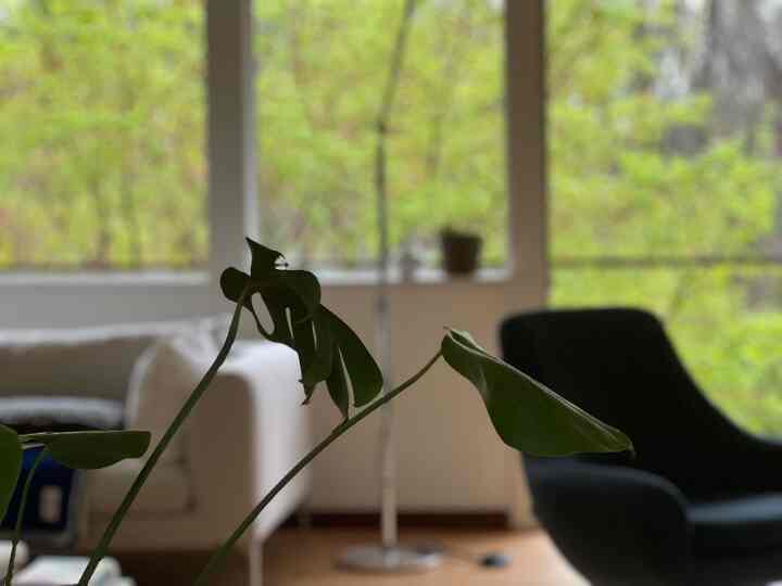 Spring Green 💚 #livingroomcolor #green #livingroominterior #greeninterior #livingroomdecor 