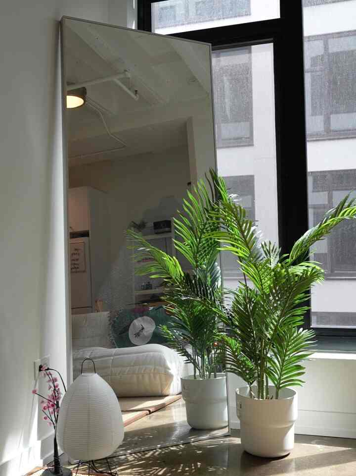 Natural-toned living room with abundant natural light, large mirror, and green plants in white pots near window