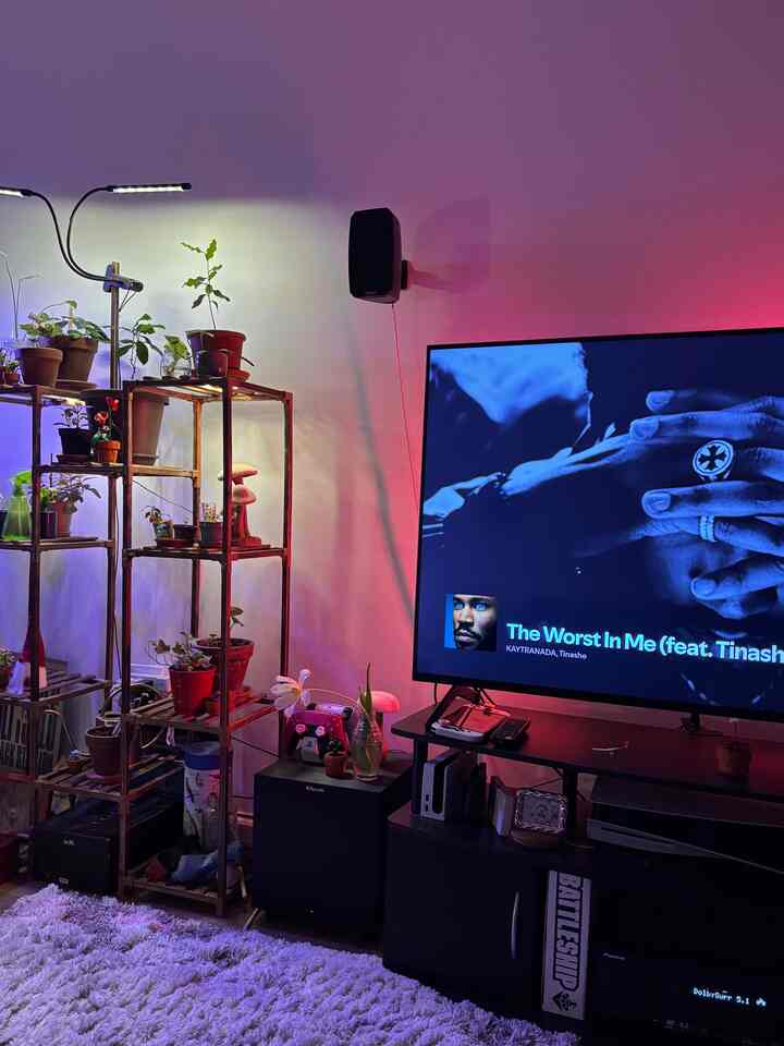 Components of our happy place- 
Plants, video games, and our pets

#apartmentinterior #livingroominterior #plants #lightingconstruction #pets #springinterior 