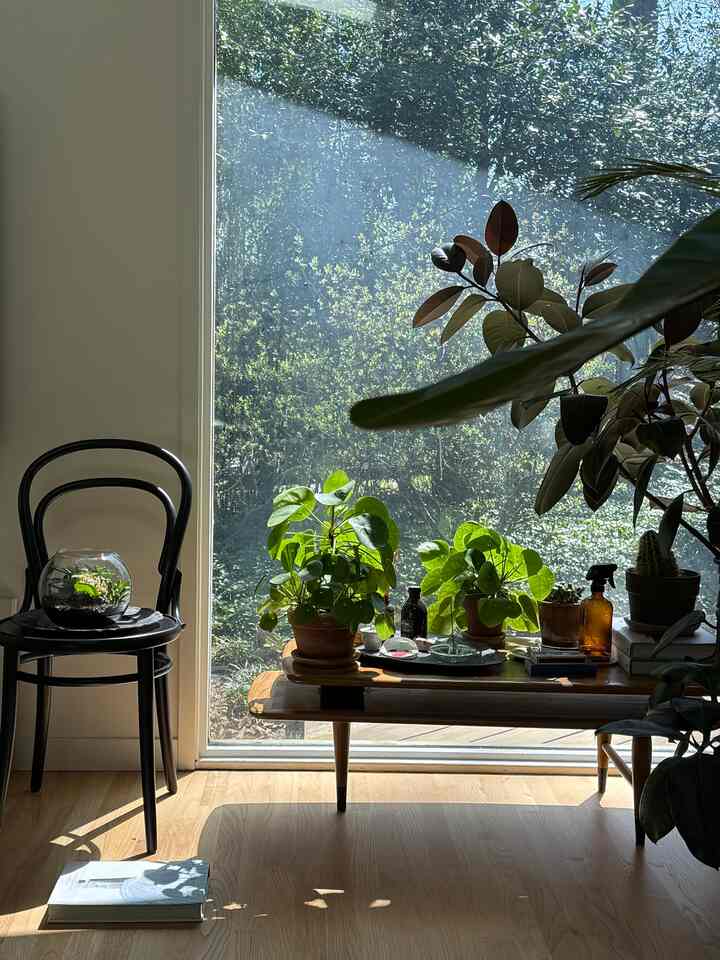 Matahari musim semi bersinar #bedroom #bedroomcorner #interior #bedroomdecor #bedroominterior #indoorplants #plants #Planterrier