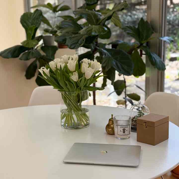 Tulips and white table #diningtable
#springdecor #springdecoration #diningroom #diningroomdecor #whitedecor #flowerdecor