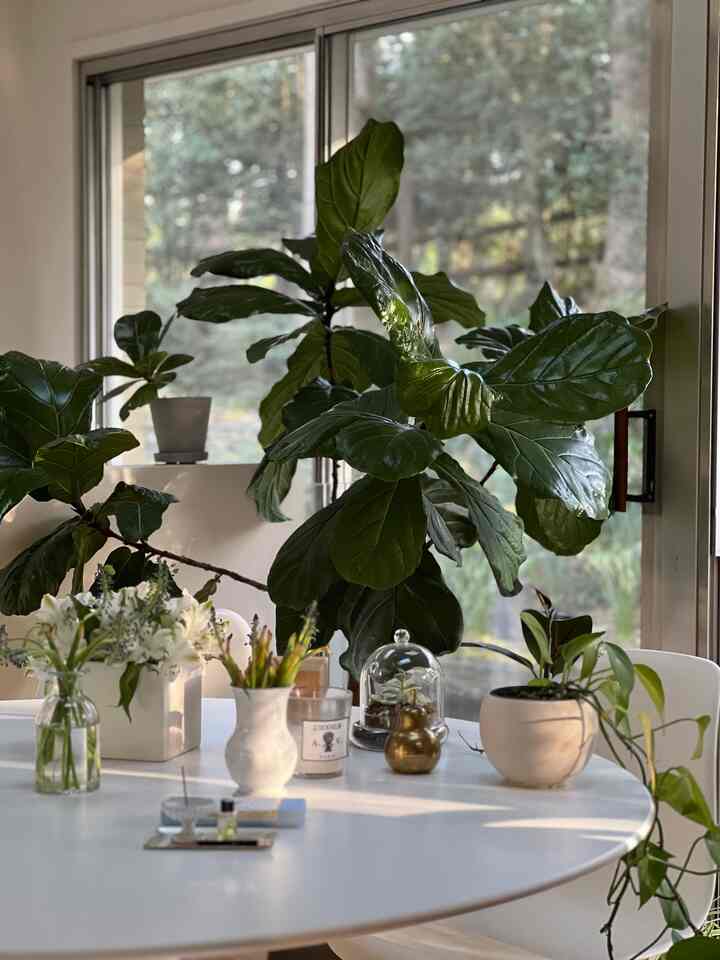 Spring mood 💚🤍 #diningtable #knoll #saarinentable