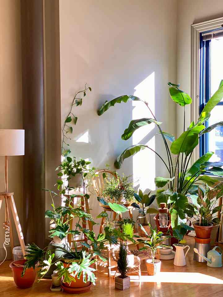 My little green corner 💚 
#livingroom #plantinterior #PlantDeco #loft
