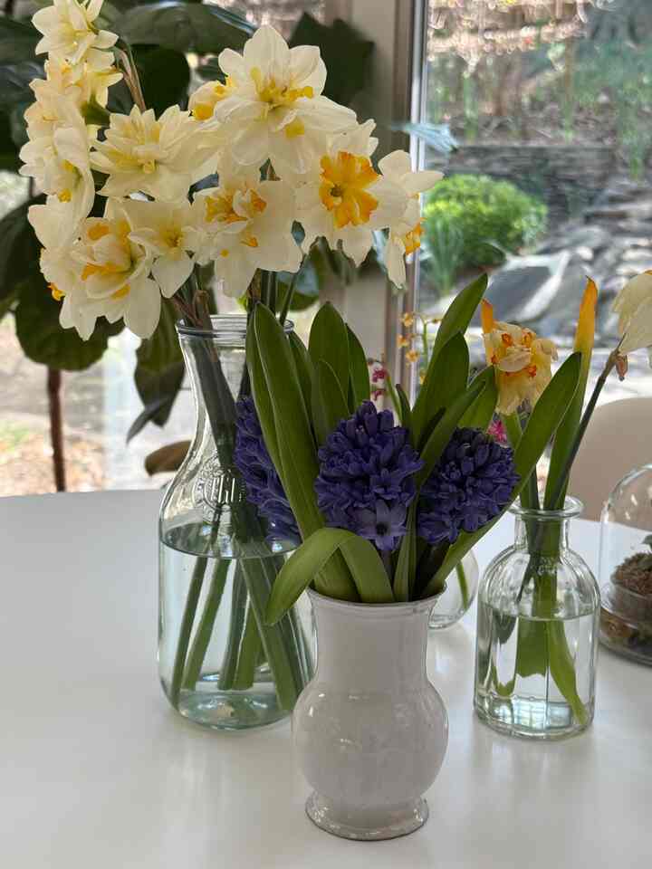 Spring Flowers from backyard 🤍💛🧡 #flowerdecor #gardenflowers #diningroomdecor #springdecor #diningtable #diningtabledecor