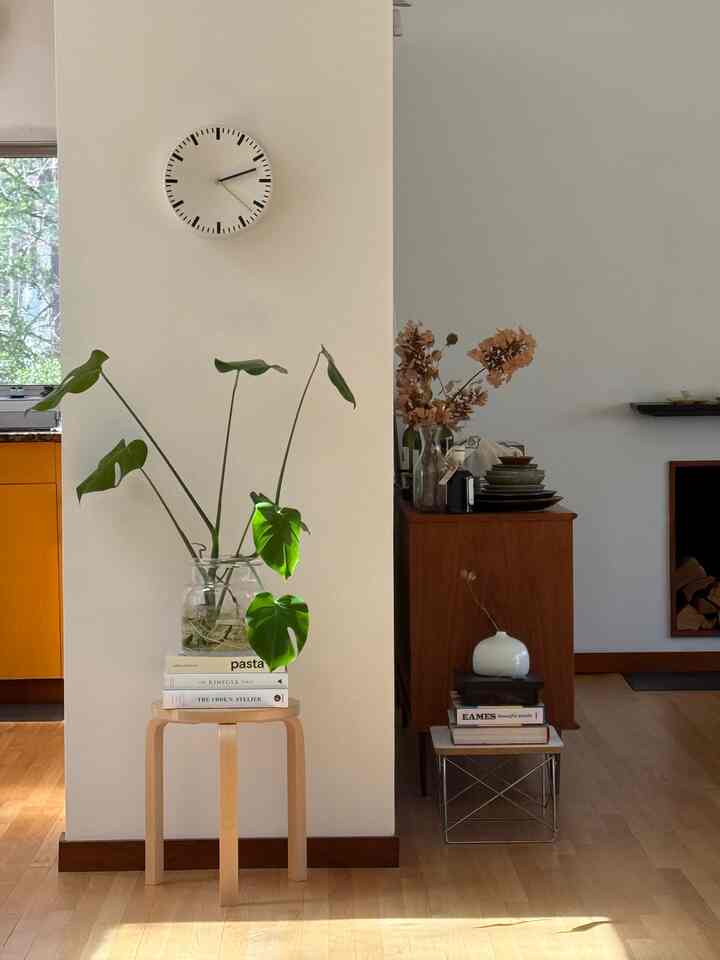 Sunbathing time #livingroom #livingroom #livingroomdecoration #livingroomplant #Planterrier #plantinterior #PlantDeco 