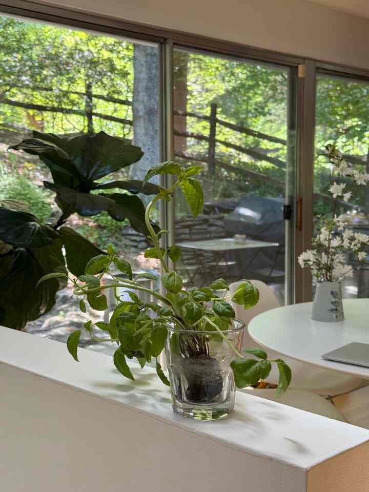 B a s i l #kitchen #diningroom
#patio #diningroomtable #chair #table