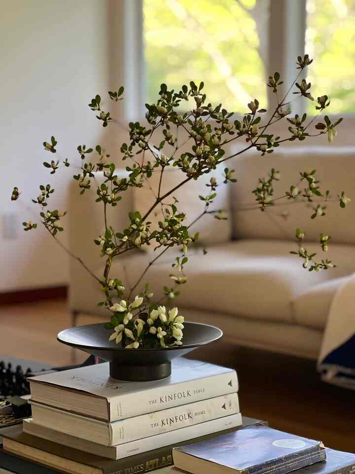 Azalea Ikebana #springdecor #flowerdecor #livingroomdecor #livingroominterior #designwithinreach 