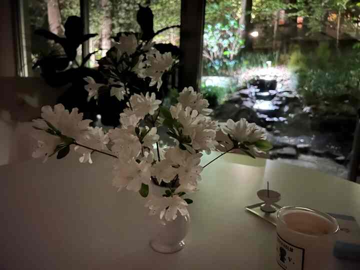 Azalea at night #table #diningtable #diningroom #diningroom #diningroomdecor #knoll #diningroomview