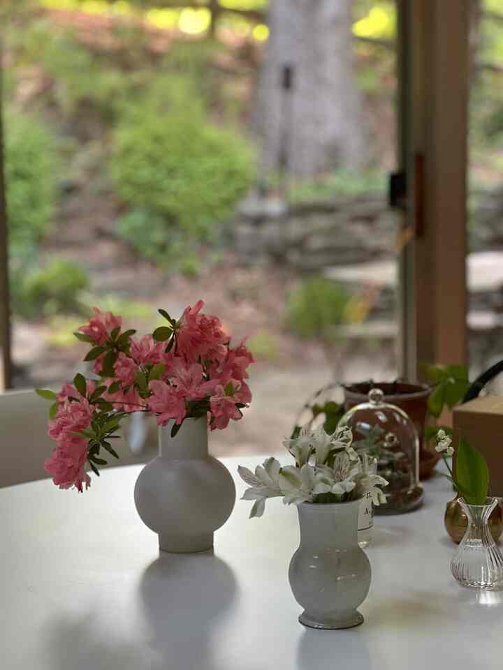 Azalea full bloom #flowerdecor #flowerinterior #flowerarrangement #flowerpotinterior #diningtable #diningroom #diningroominterior 