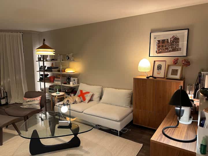 🏠Thrifted Treasures and Mid-Century Style in a 500 sq ft Bay Area Apartment