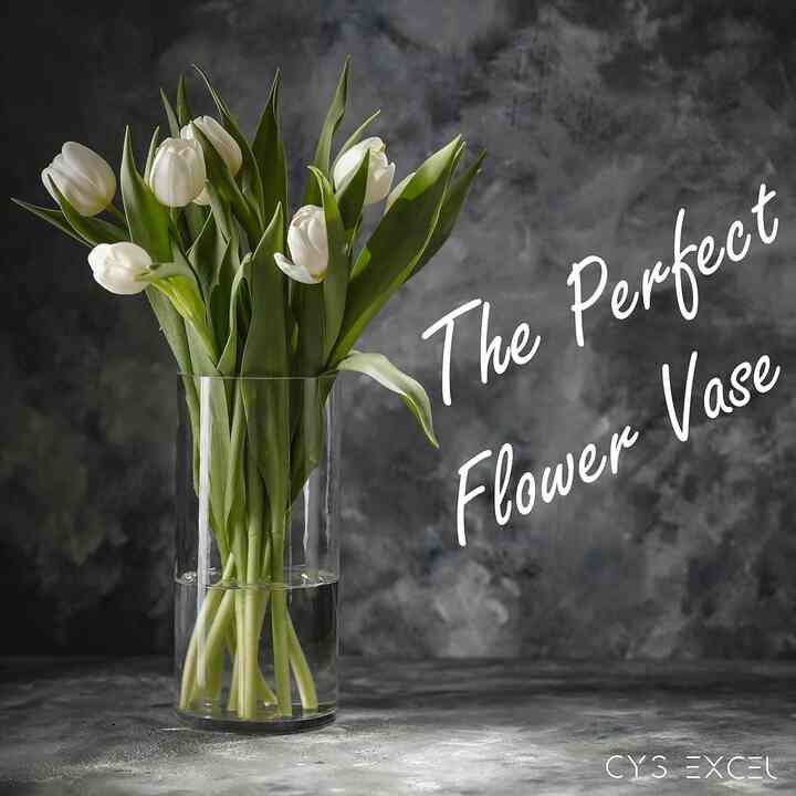 Cylinder Clear Glass Vase