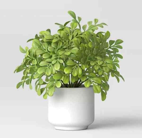 Artificial Boxwood Plant 