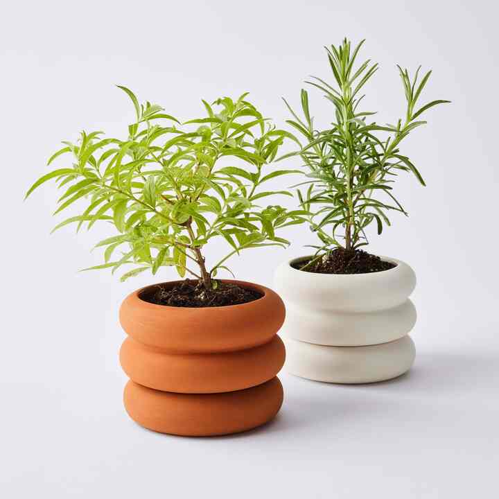 AREAWARE Stacked Porcelain & Terracotta Planter