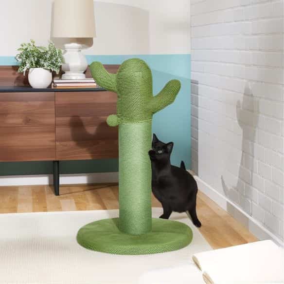 Frisco Cactus Cat Scratching Post