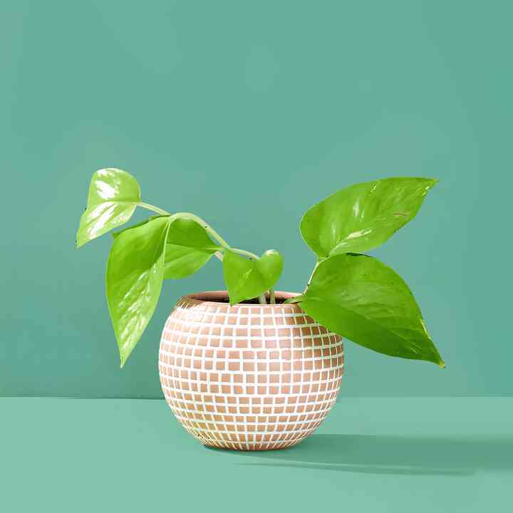 Small Disco Ball Ceramic Planter