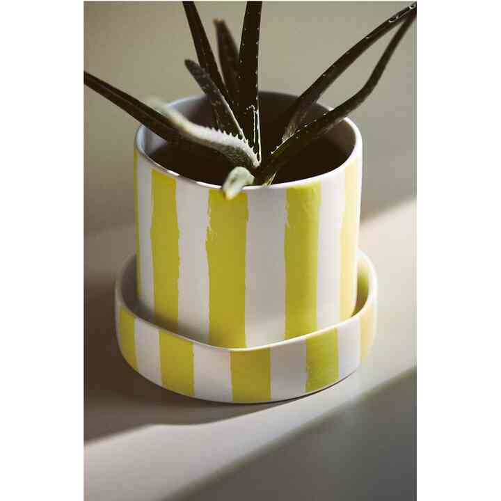 Patterned Plant Pot and Saucer