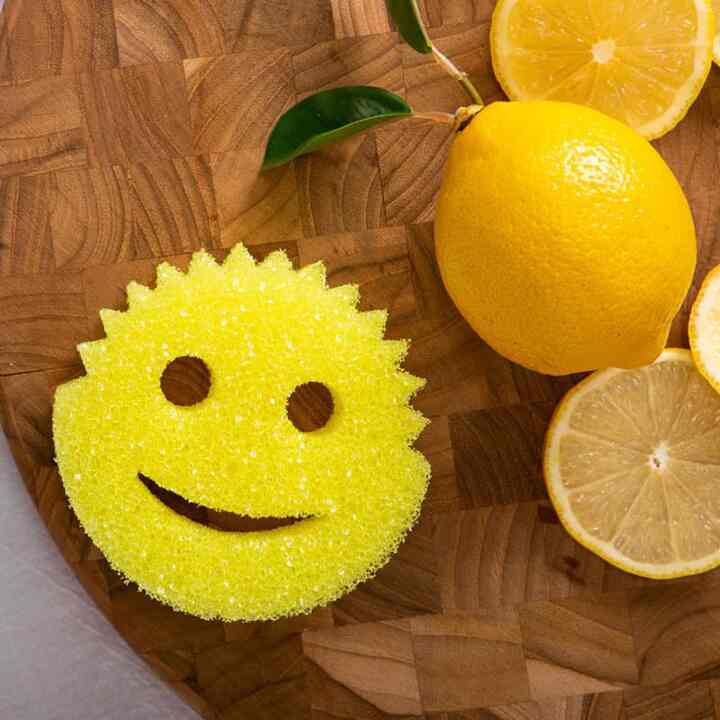 Scrub Daddy Lemon Fresh