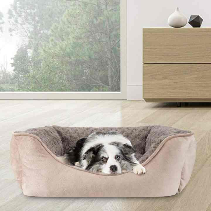 Rectangle Dog Bed