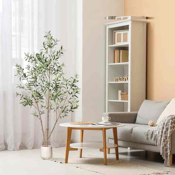 Olive Trees Artificial Indoor