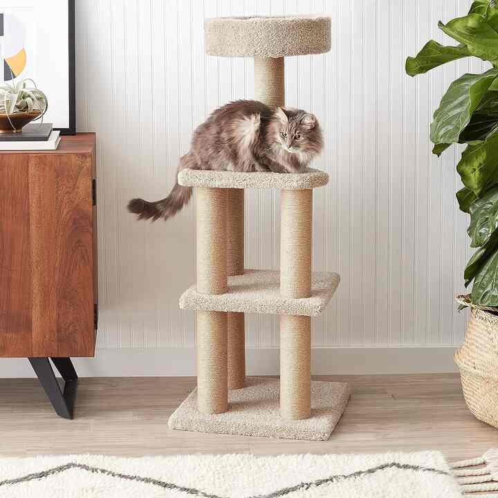 Cat Tree Indoor Climbing Activity Tower with Scratching Posts